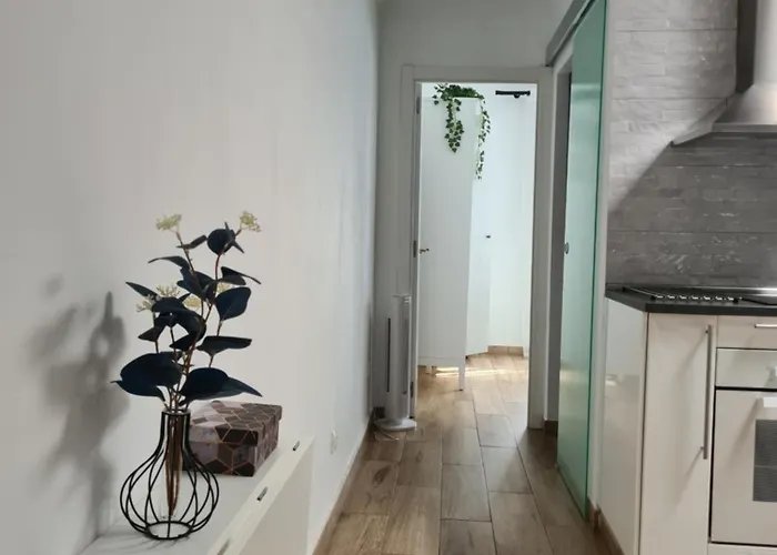 Sunny Winter Arinaga