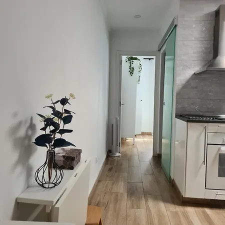 Sunny Winter Arinaga